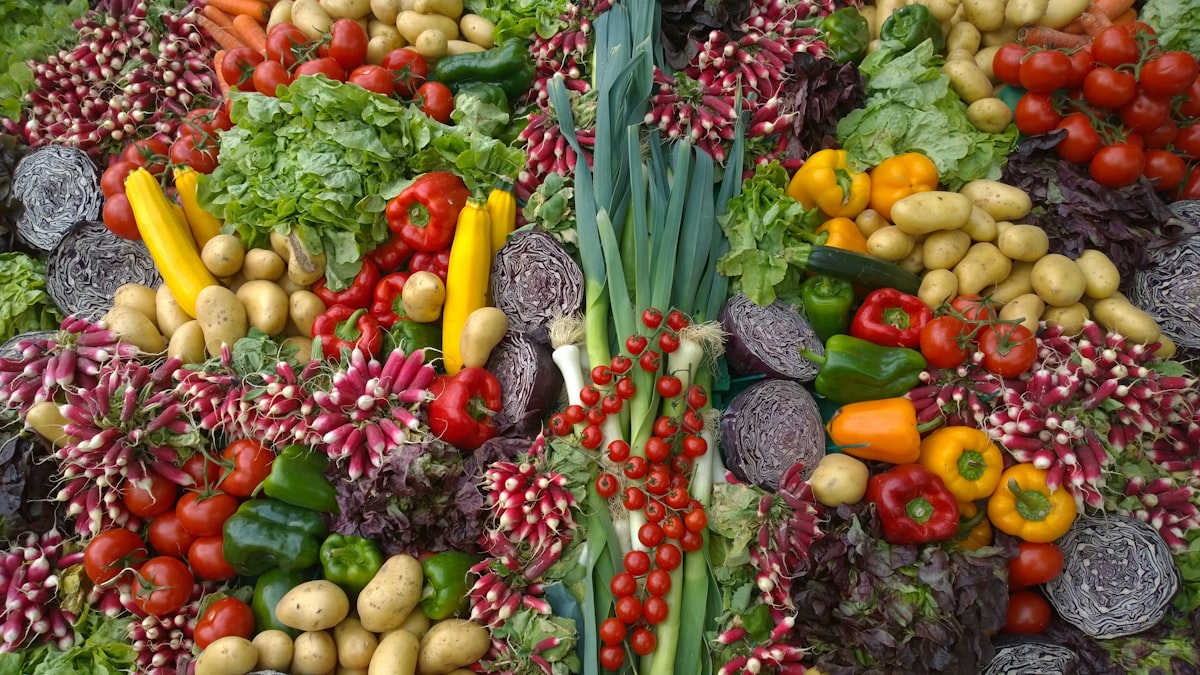 Salad Sayuran Segar